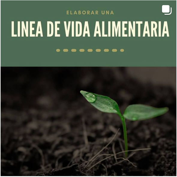 Linea alimentaria